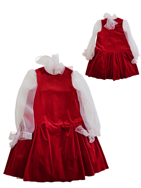 Transparent Sleeve Dress\ JOSHI
