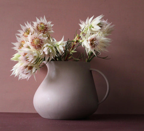 Pot-bellied pitcher