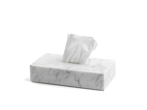 Tissue Box - MOBJ77 FiammettaV