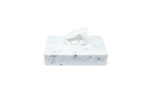 Tissue Box - MOBJ77 FiammettaV