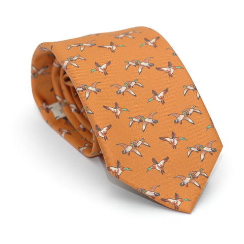 Tie - Pavia Armeria Meschieri