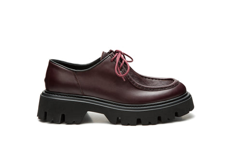Derby - Ambrogio Maze Shoes