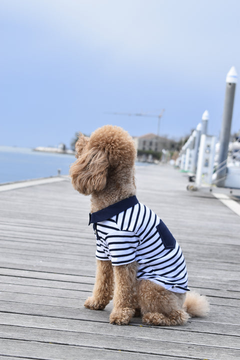 Shirt - Polo Blu Piera Gabrieli